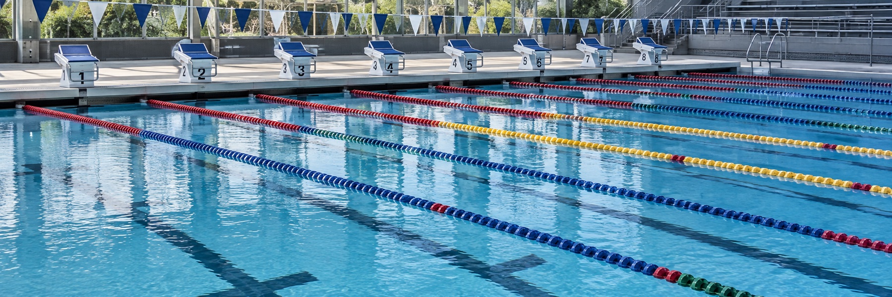 Florida Gators Men's Swimming & Diving vs Miami
