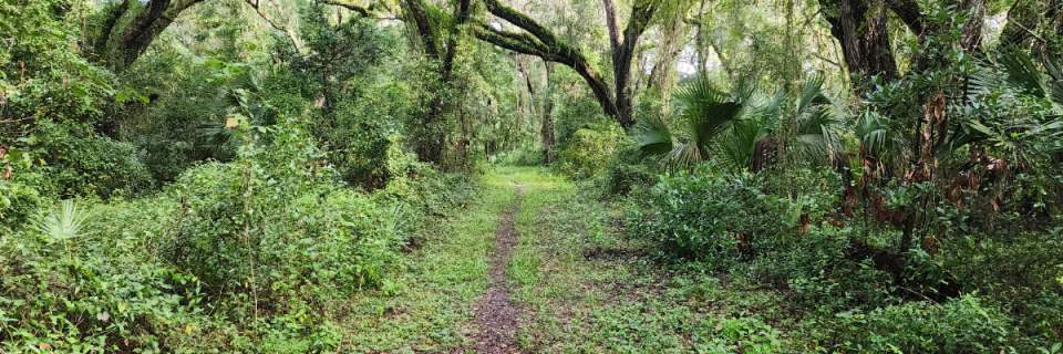 Landbridge Trail 5k