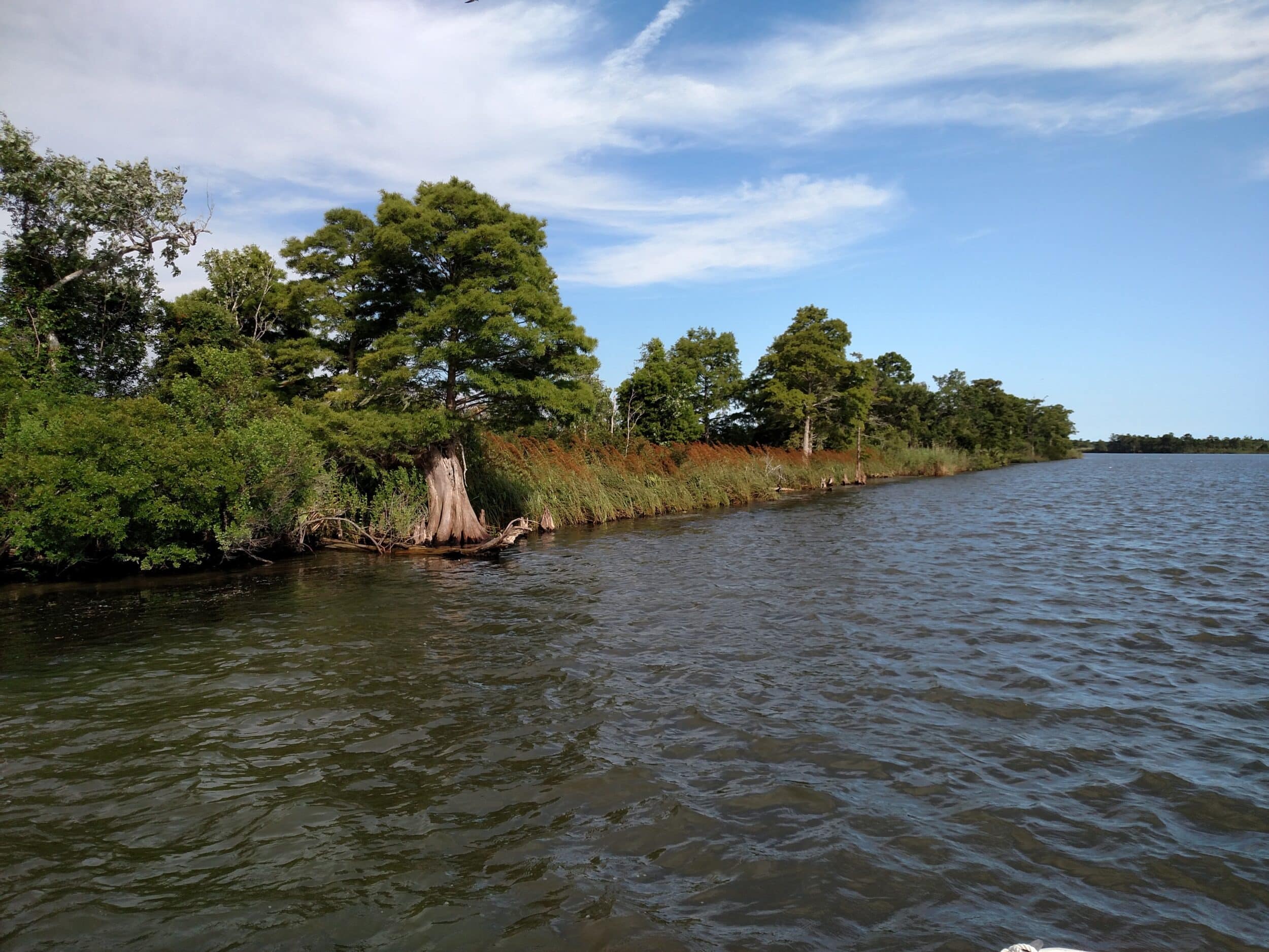 Apalachicola River & Floodplain Exploration