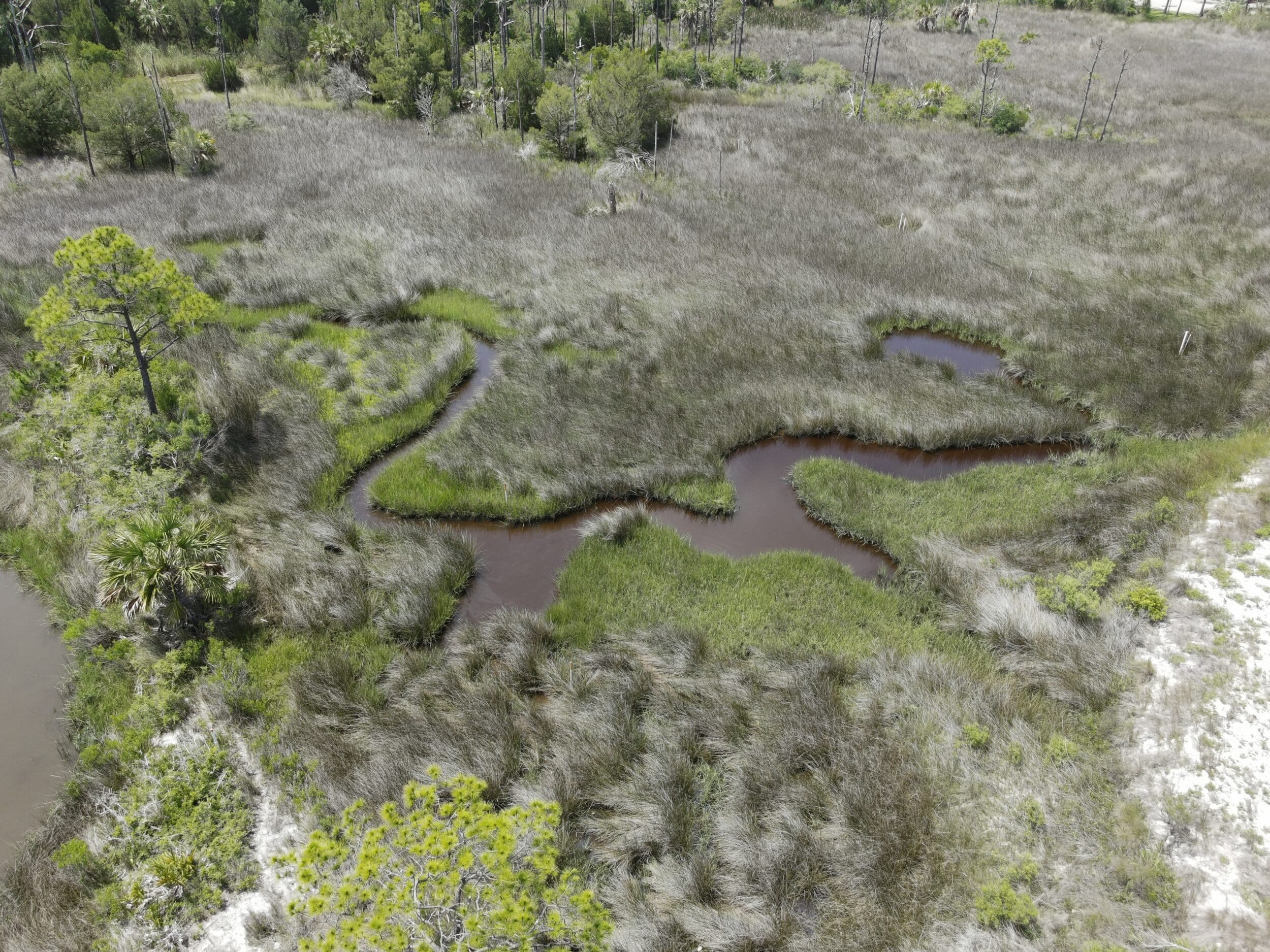 Apalachicola Estuary Exploration
