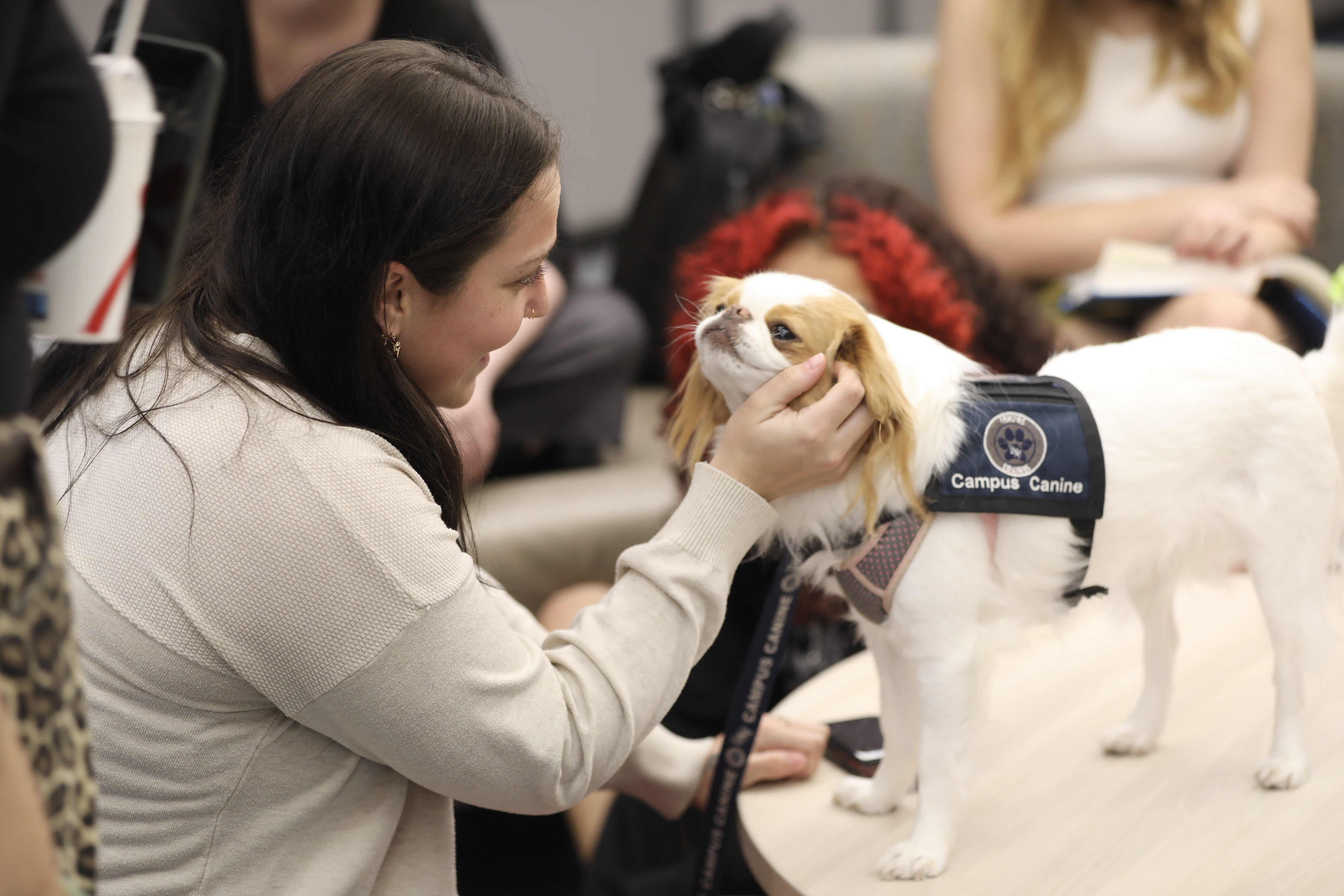 Campus Canines Library Visit