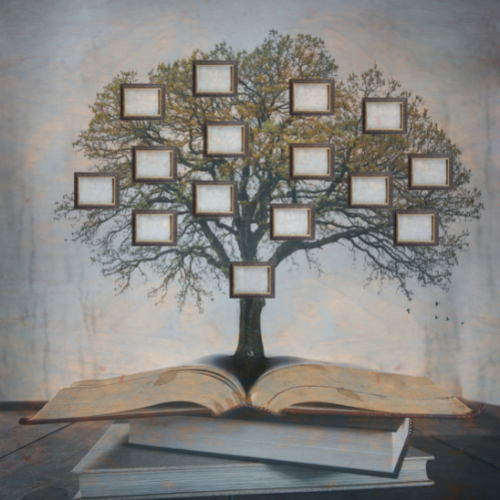 Genealogy Workshop