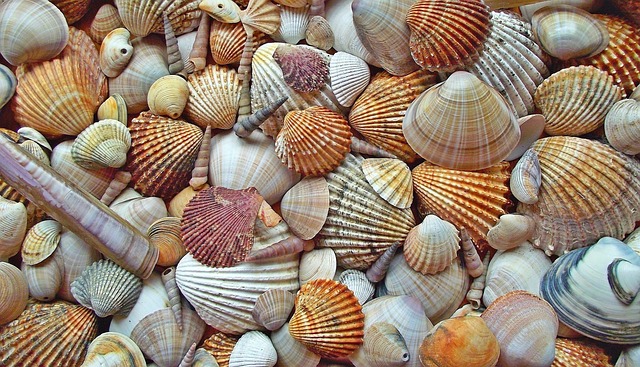 Shell 101